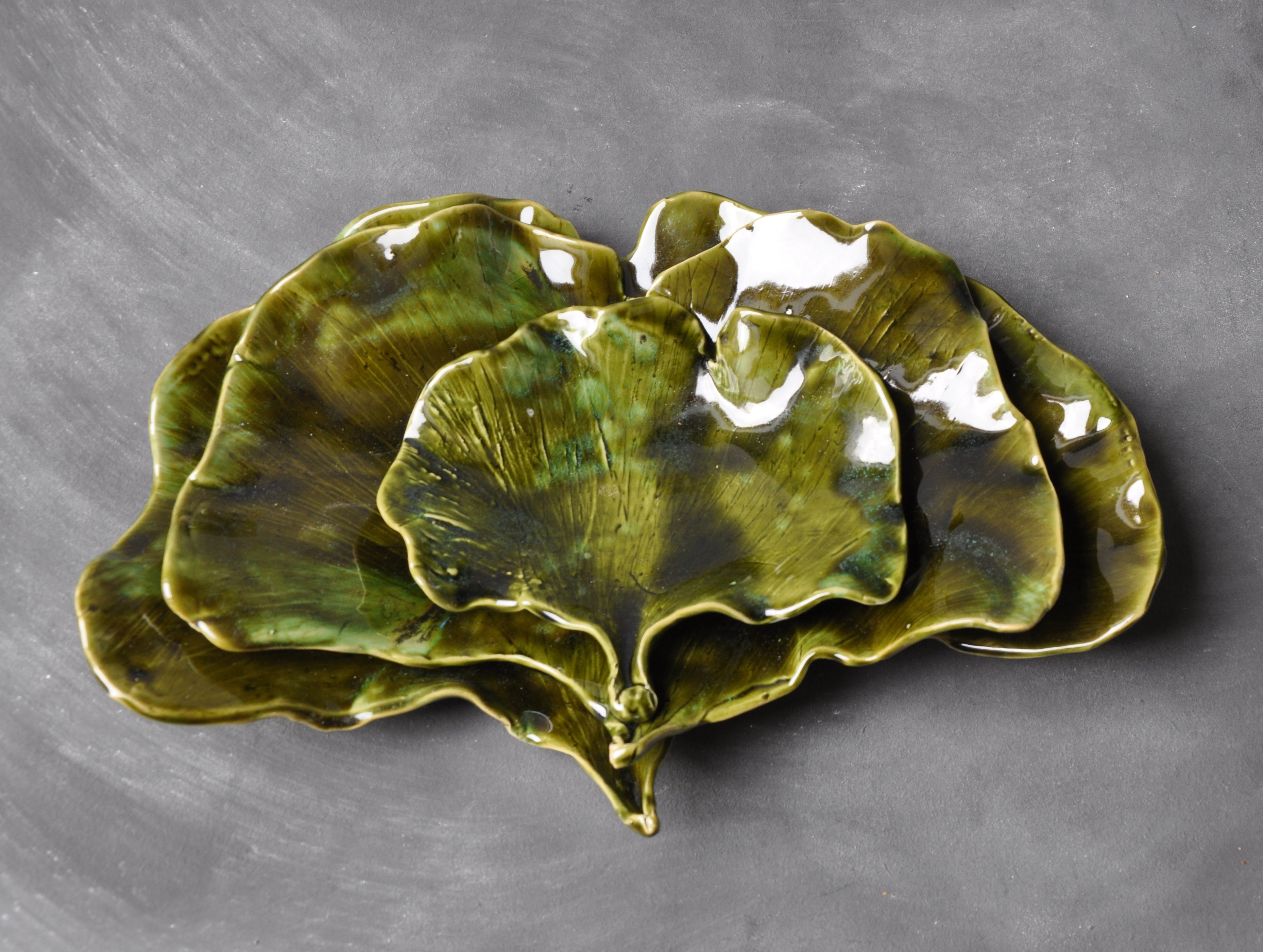 Schale Ginkgo L
